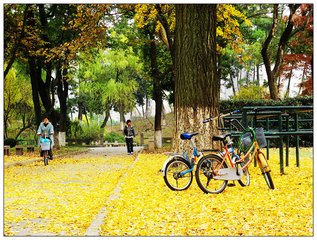 我们为什么要读大学？