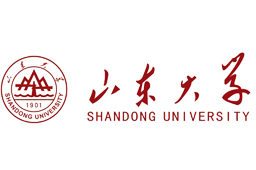 山东大学网络教育专科招生专业